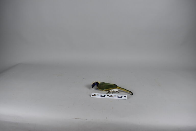 Arrendajo (MLS-TA-0028)